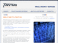tantusitsservices.com