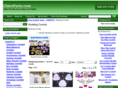 weddingschico.com