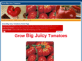 besttomatoes.info