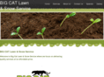 bigcatllc.net