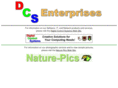 dcsenterprises.com