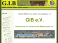 gib-ev.com