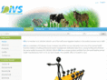 ivsegypt.com