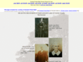 lawsfamilytree.com