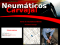 neumaticoscarvajal.com