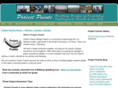 projectpuente.org