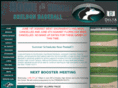 sheldonbaseball.org