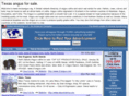 texasangus.org