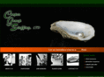 cgs-tx.com
