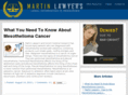 martinlawyers.com