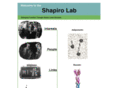 shapirolab.org