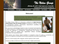 thenolangroupusa.com
