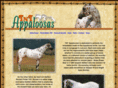 tntappaloosas.com