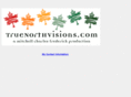 truenorthvisions.com