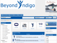 beyondindigostore.com