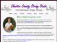 ccstringstudio.com