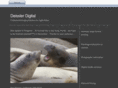 deisslerdigital.com