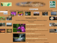 forestwonder.com
