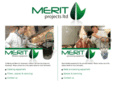 meritprojectsltd.com