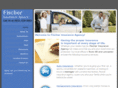 thefischerinsuranceagency.com