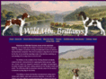 wildmtnbrittanys.com