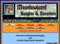 meadowlandbeagles.com