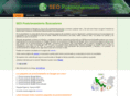 seoposicionamientobuscadores.com
