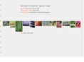 titelgestaltung.com