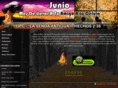 upcisantaana.com
