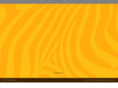 zebrapromos.com