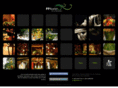 ffflorist.com