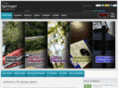thespringeragency.com