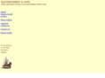 bauerschmidtandsons.com