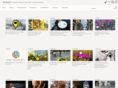 museomurac.com