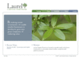 laurelcapitalpartners.com