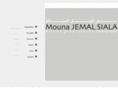 mounajemal.com