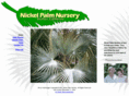 nickelpalmnursery.com