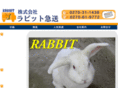 rabbit-kyusou.com