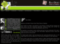 ravioffset.com