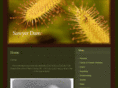 sawyerdam.com