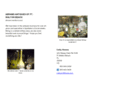 abrams-auctions.com