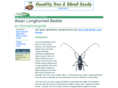 asian-longhorned-beetle.com
