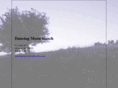 dancingmoonranch.com
