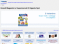 gruppoilgigante.com
