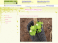 primevine.com