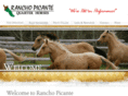ranchopicante.com