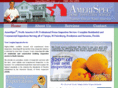 amerispecfl.com