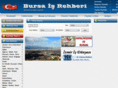 bursaisrehberi.org