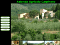 carpinetointoscana.com