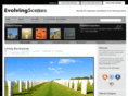 evolvingscenes.com